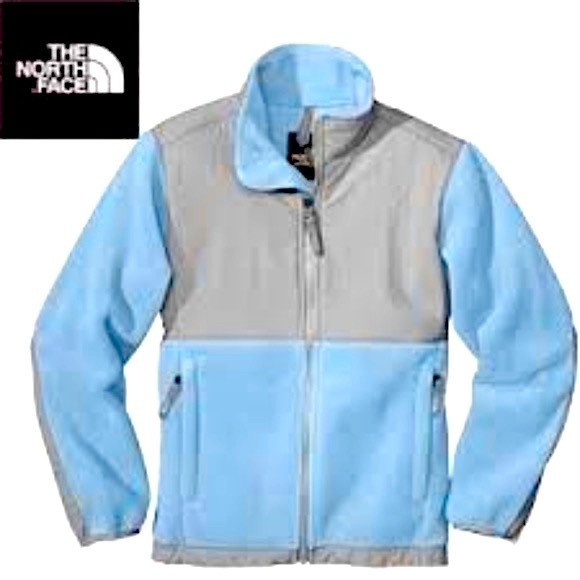 The North Face Jackets & Blazers - The North Face Denali Blue Fleece Jacket gorpcore ski chalet winter